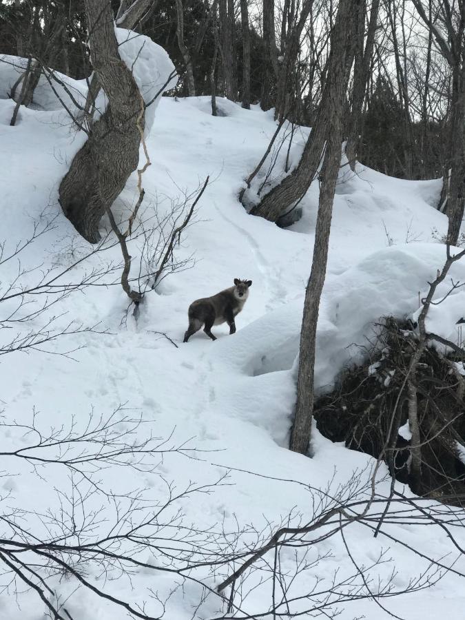 Hakuba Lodge Omusubi Otari Eksteriør bilde